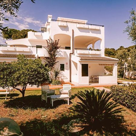 Villaggio Eco-Sostenibile Cala Molinella 维耶斯泰 外观 照片