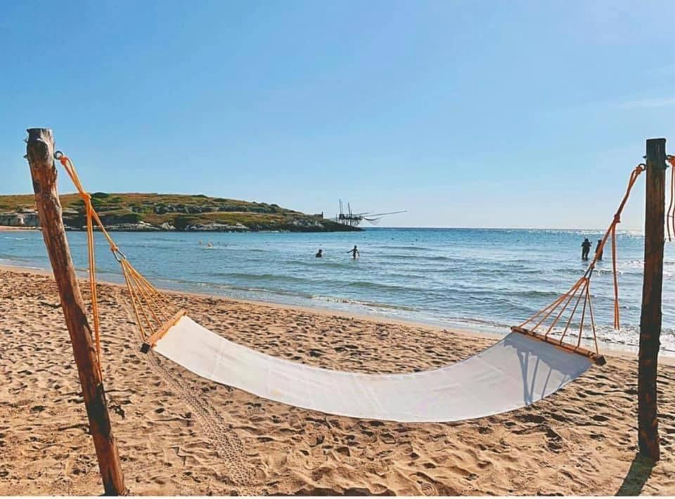 Villaggio Eco-Sostenibile Cala Molinella 维耶斯泰 外观 照片