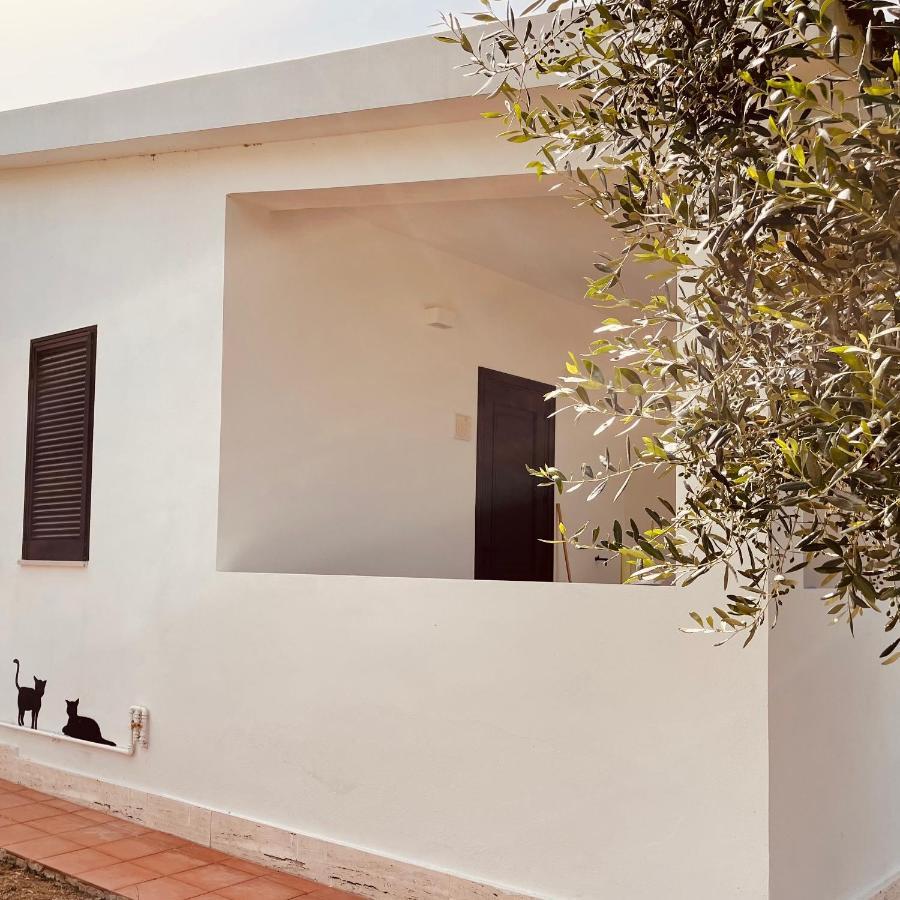 Villaggio Eco-Sostenibile Cala Molinella 维耶斯泰 外观 照片
