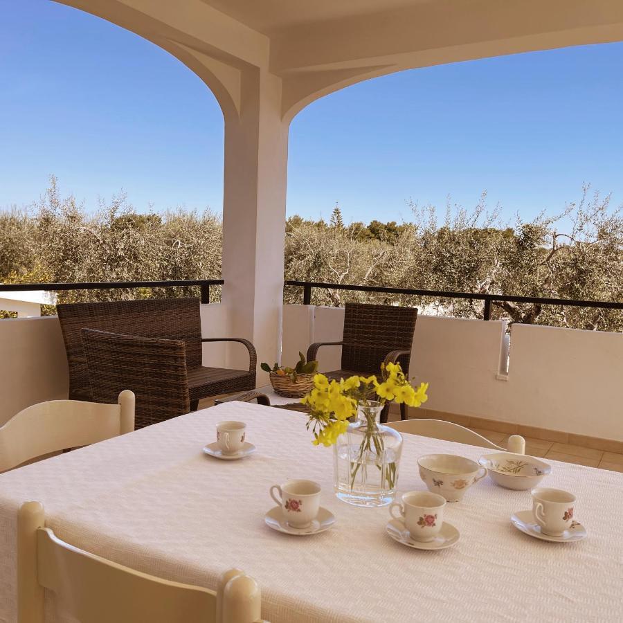 Villaggio Eco-Sostenibile Cala Molinella 维耶斯泰 外观 照片