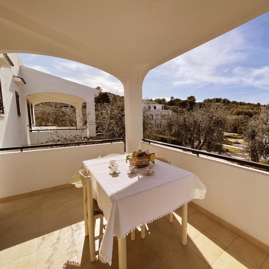 Villaggio Eco-Sostenibile Cala Molinella 维耶斯泰 外观 照片