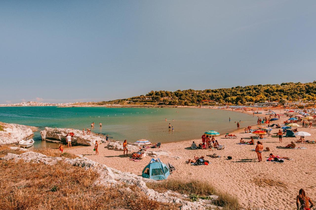Villaggio Eco-Sostenibile Cala Molinella 维耶斯泰 外观 照片